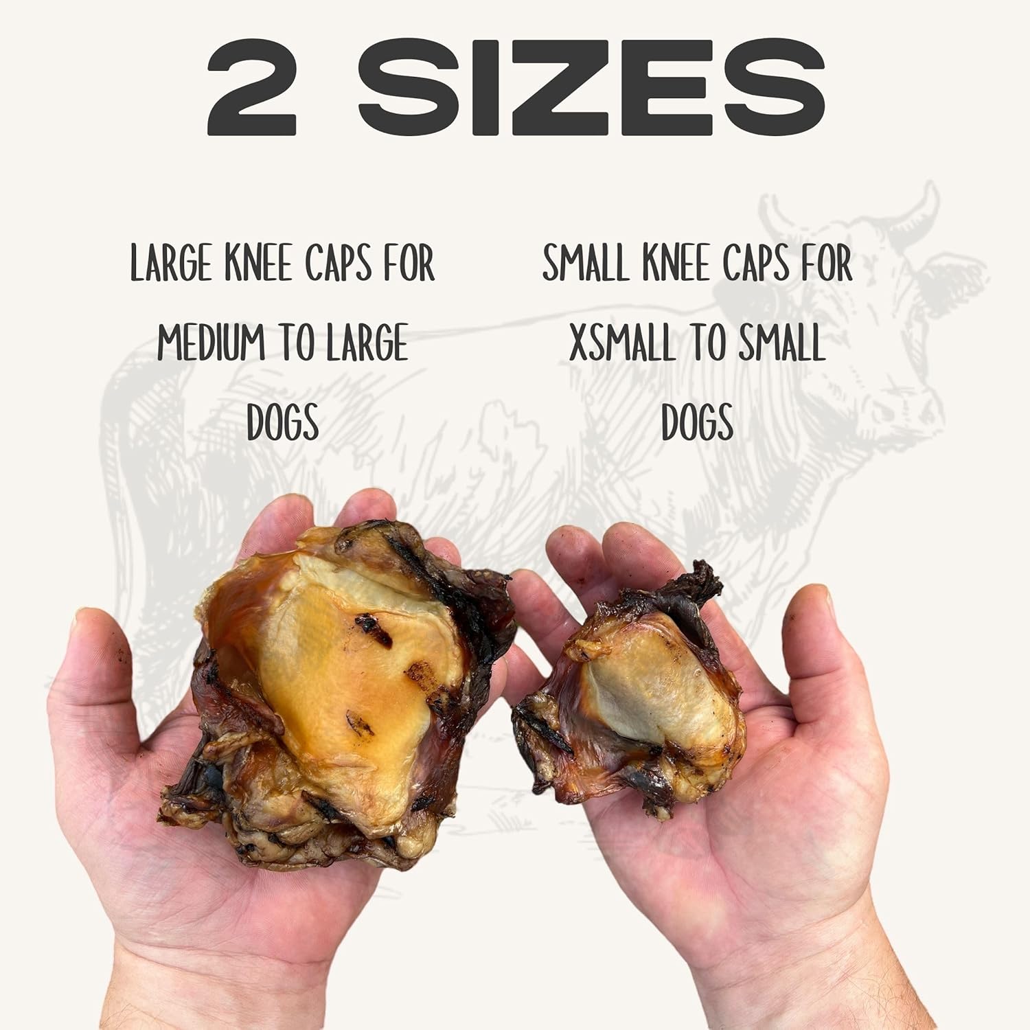 JACK'S PREMIUM Knee Cap Dog Bone - Made in USA All Natural Beef Chew - Long Lasting Meaty Bones for Large Dogs