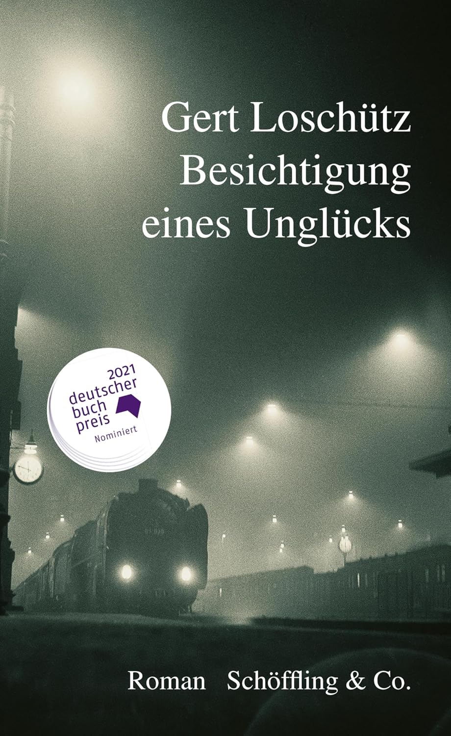Besichtigung eines Unglücks: Roman (German Edition)