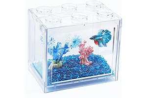 Stackable Mini Fish Tank Aquarium: Ideal Home for Sea Monkeys
