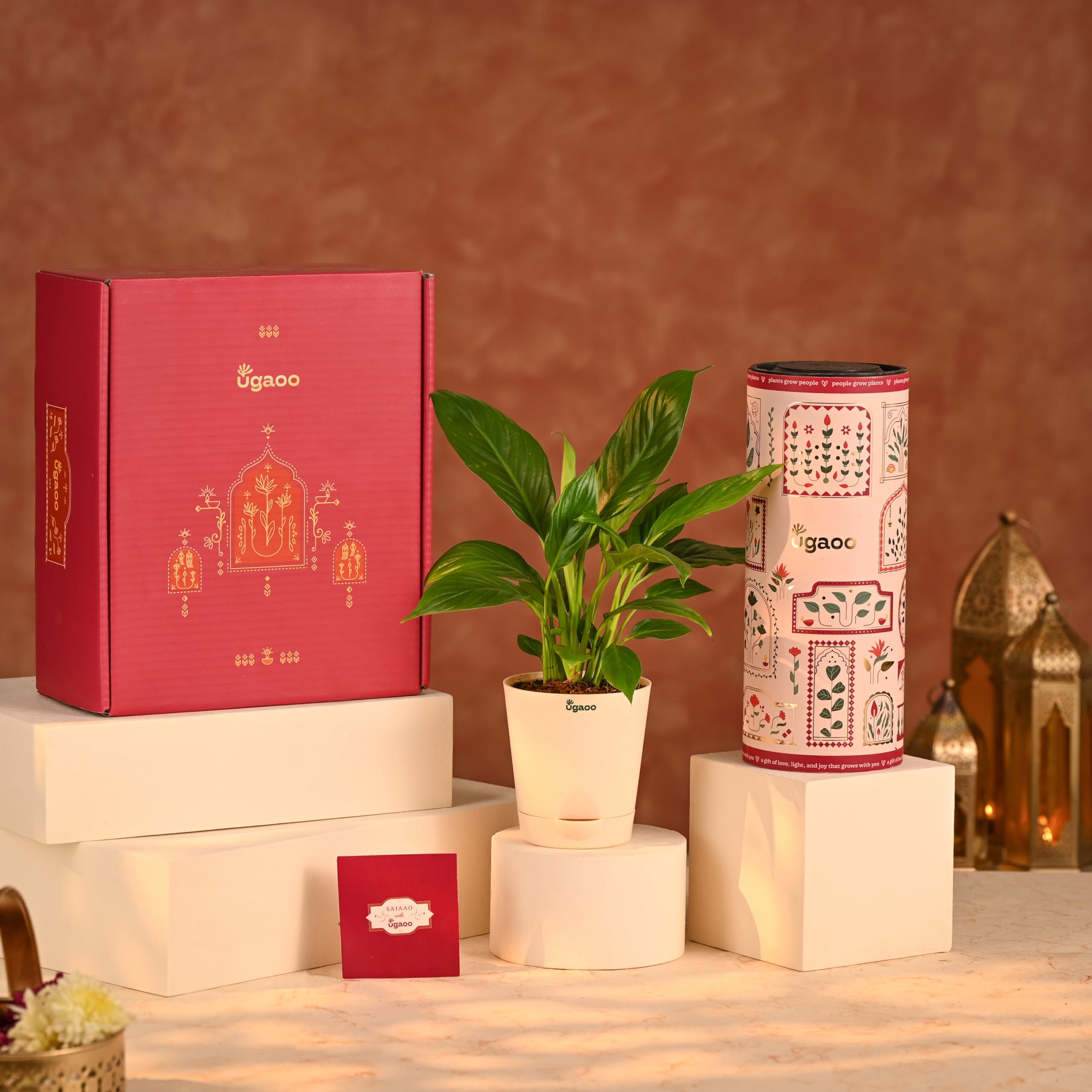 UGAOO Diwali Hamper 8-image-10