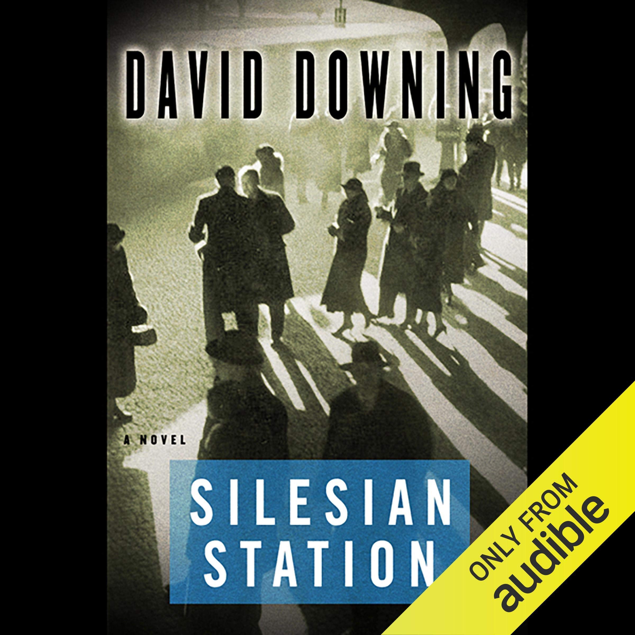 Cover art for Silesian Station