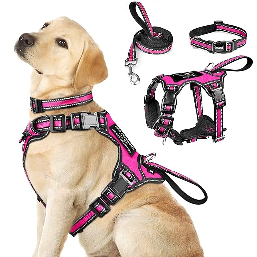 WINSEE Pet Harness Collar and Leash Set, All-in-one Reflective Dog Harness No Pull with Adjustable Buckles for Puppies, Small, Medium, Large, and Extra-Large Dogs (Large, Rosy)