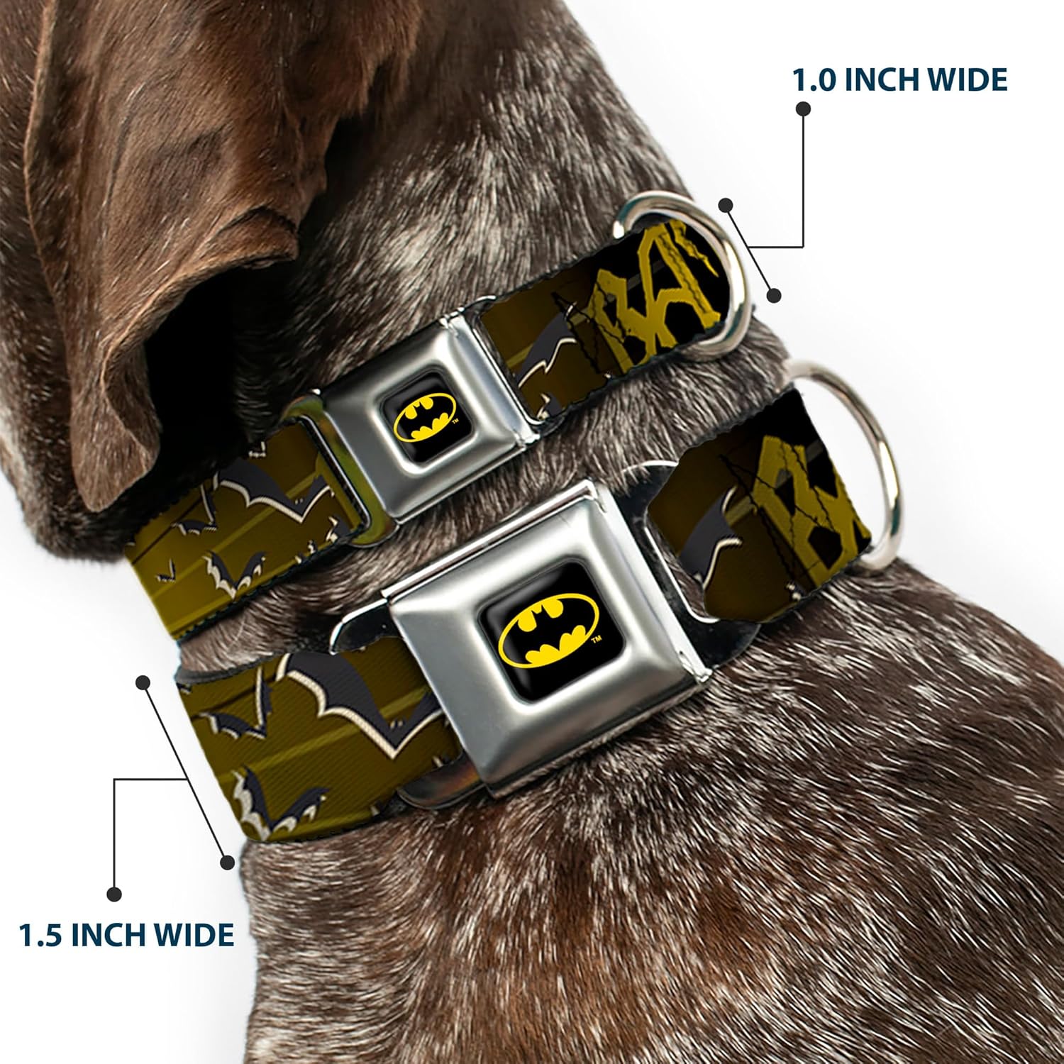 Buckle-Down Seatbelt Buckle Dog Collar - BATMAN w/Bat Signals & Flying Bats Yellow/Black/White - 1" Wide - Fits 11-17" Neck - Medium