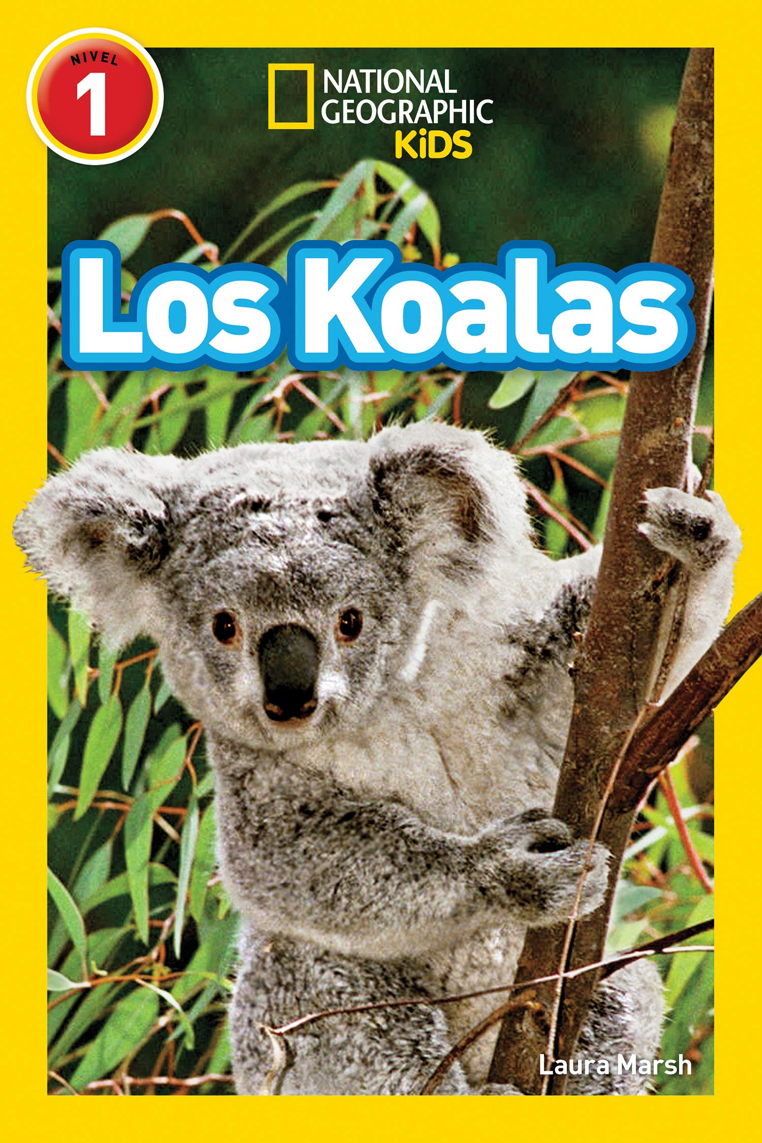 NGR Koalas (L1) (Readers)