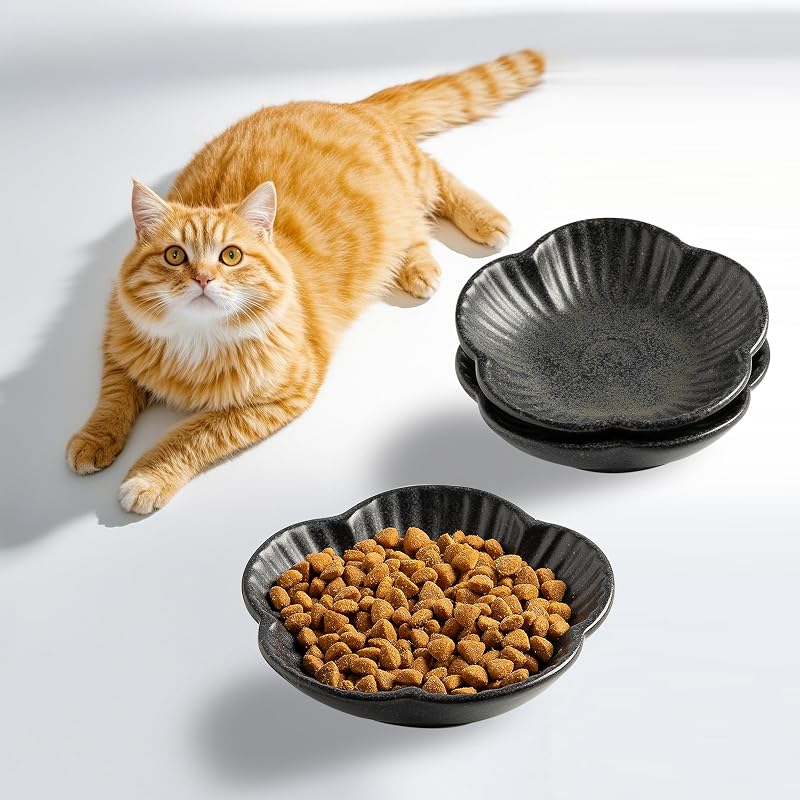 Potes Rasos de Cerâmica para Gatos Mecaikru, Tigelas Amigas dos Bigodes, Conjunto com 3