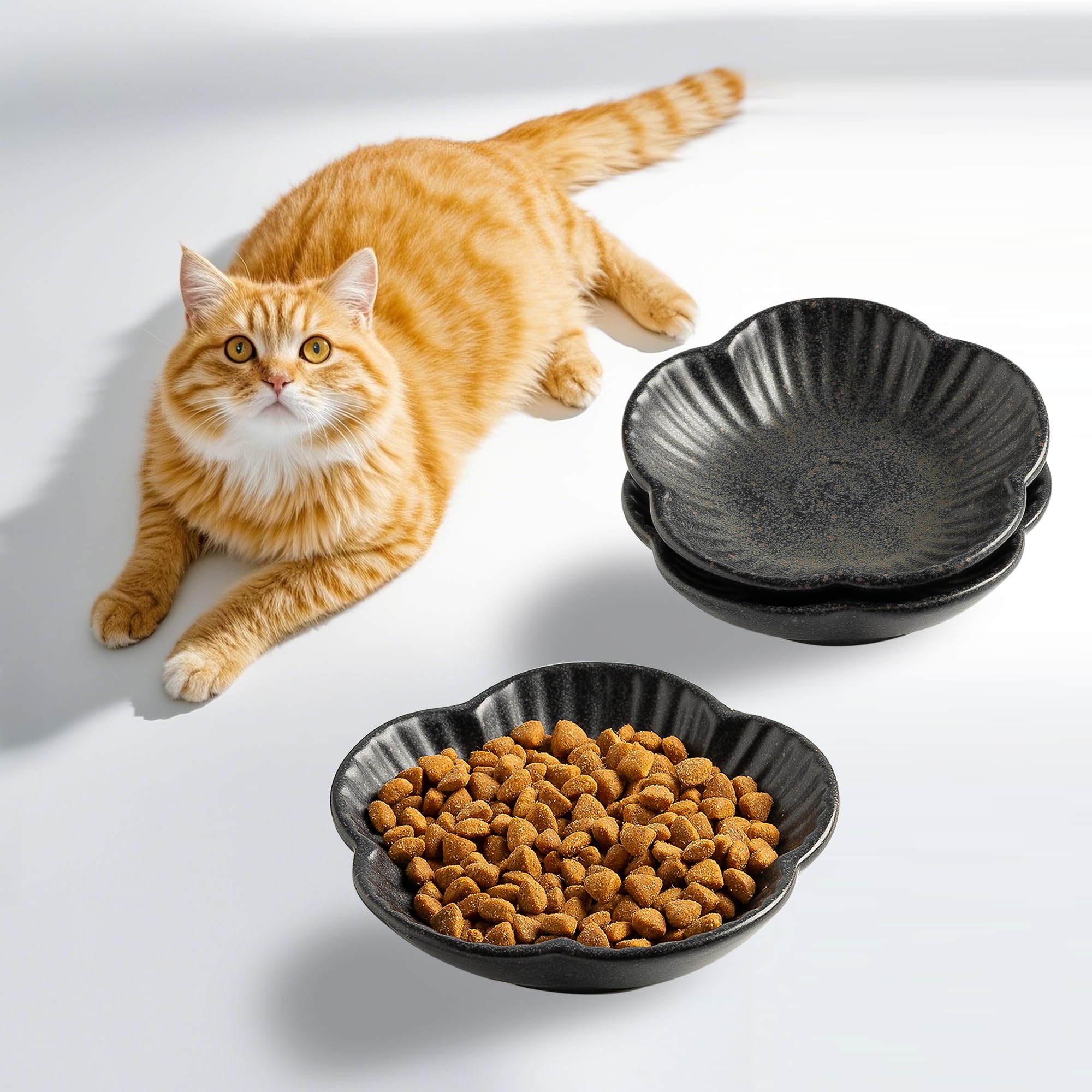Gamelles céramique chat hygiéniques lot de 3 coupelles noires de 12cm stables et durables