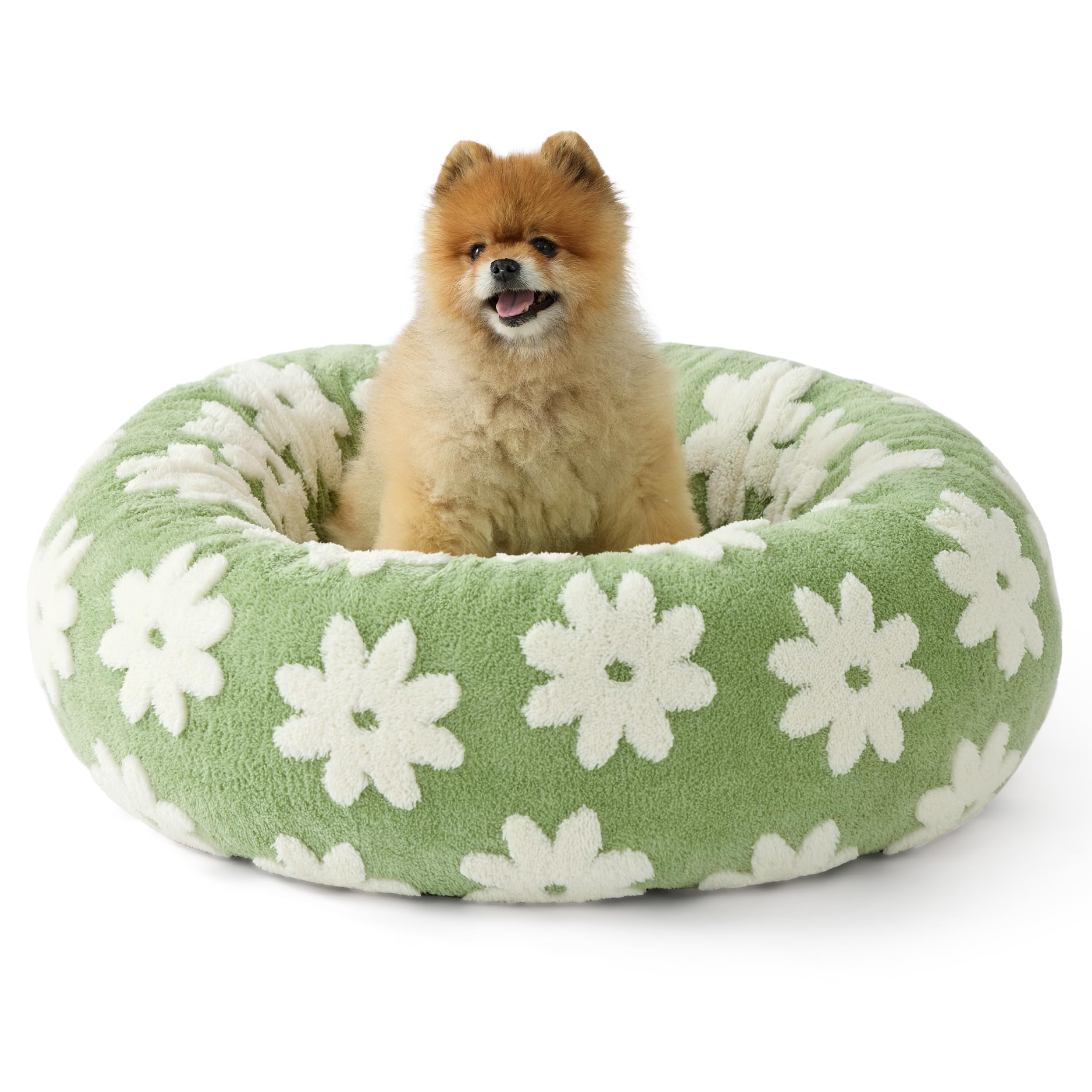 Lesure Donut Small Dog Bed - Round Cat Beds for Indoor Cats Calming Pet Beds, Cute Modern Beds with Jacquard Shaggy Plush & Anti Slip Bottom, 27 Inch, Green