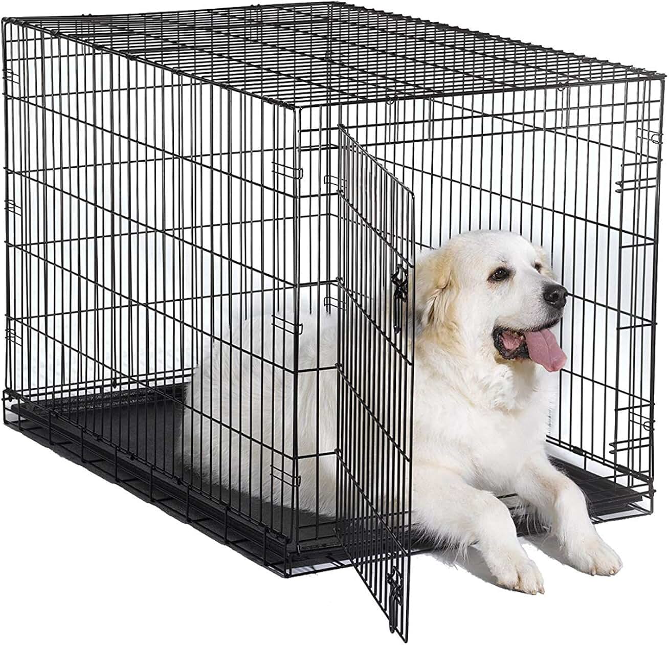 Amazon.ca dog crate