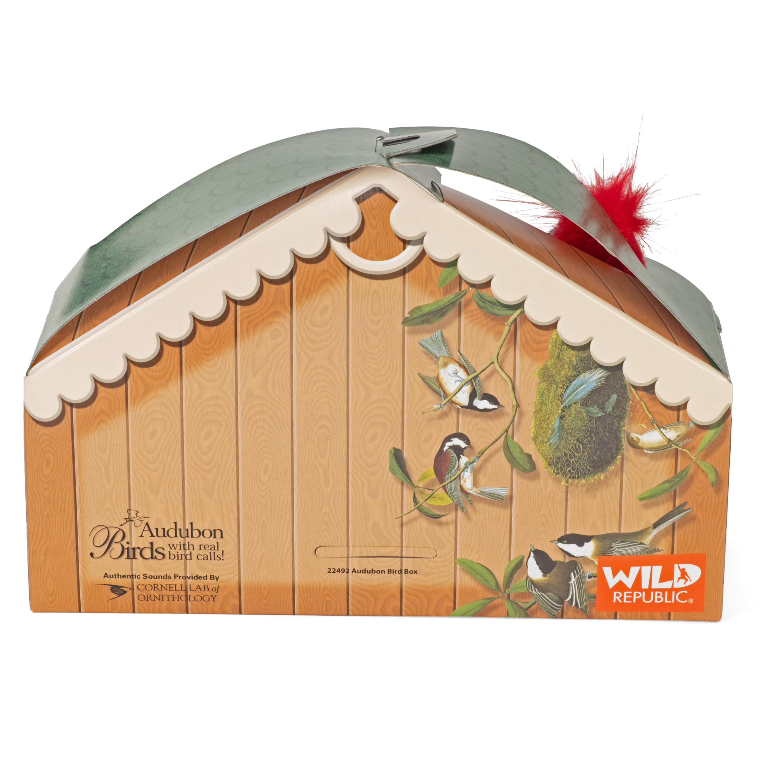 Amazon.com: Wild Republic Audubon Birds Collection with Authentic