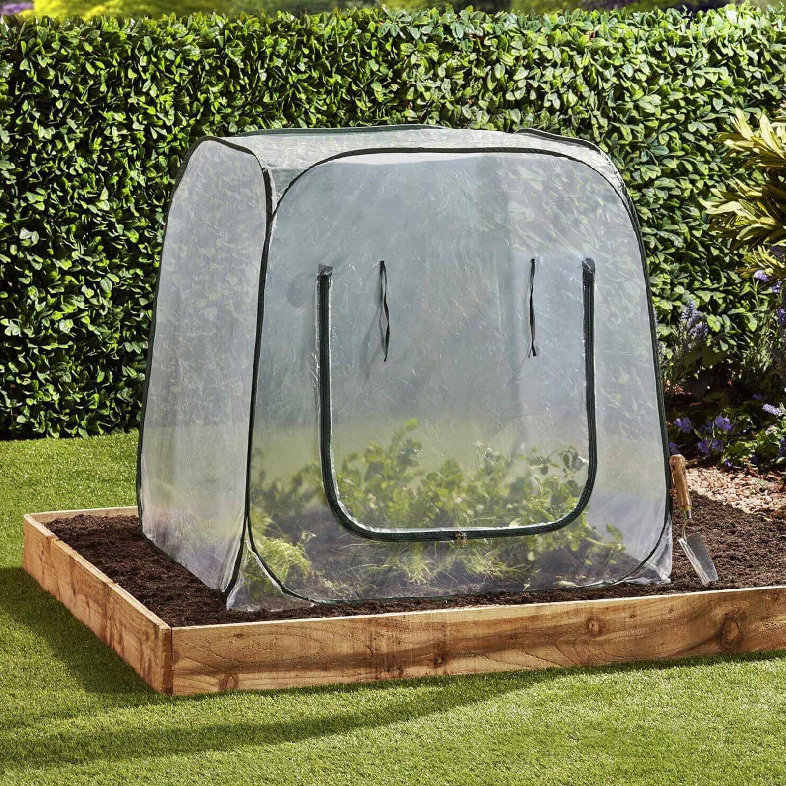 Cubierta de invernadero para plantas, diseño aislado para jardín, materiales protectores de PVC transparente, construcción de marco de acero, cubierta protectora para plantas para varias estaciones