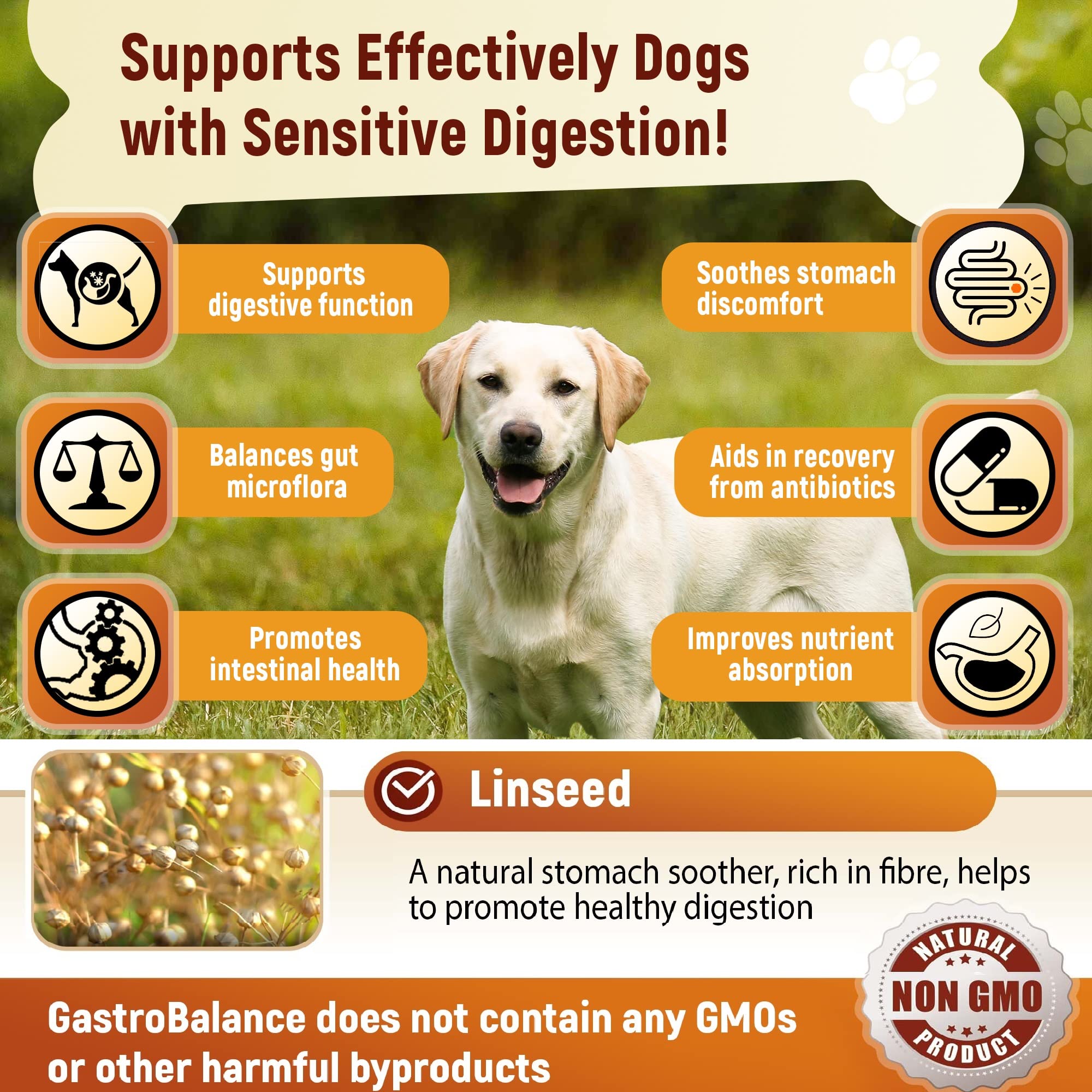 Traitement Chien probiotiques – 60 croquettes Naturelles pré et probiotiques pour Chiens - Goût Poulet (English)