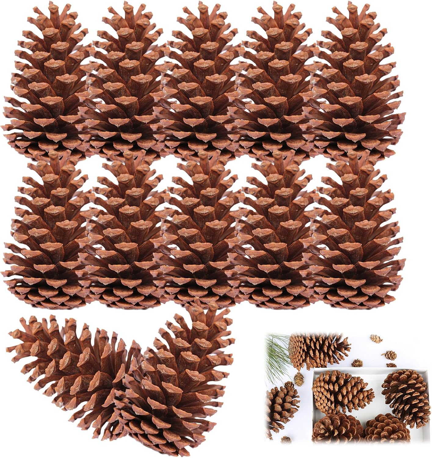 Benting Large Natural Pine Cones, Christmas Rustic Pinecones Bulk Ornaments for DIY Crafts and Xmas Thanksgiving Fall Party Craft Decorations Home Decoration