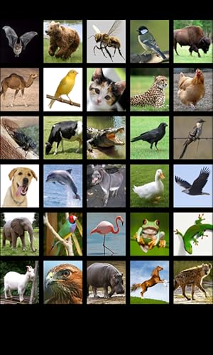 Som de animal