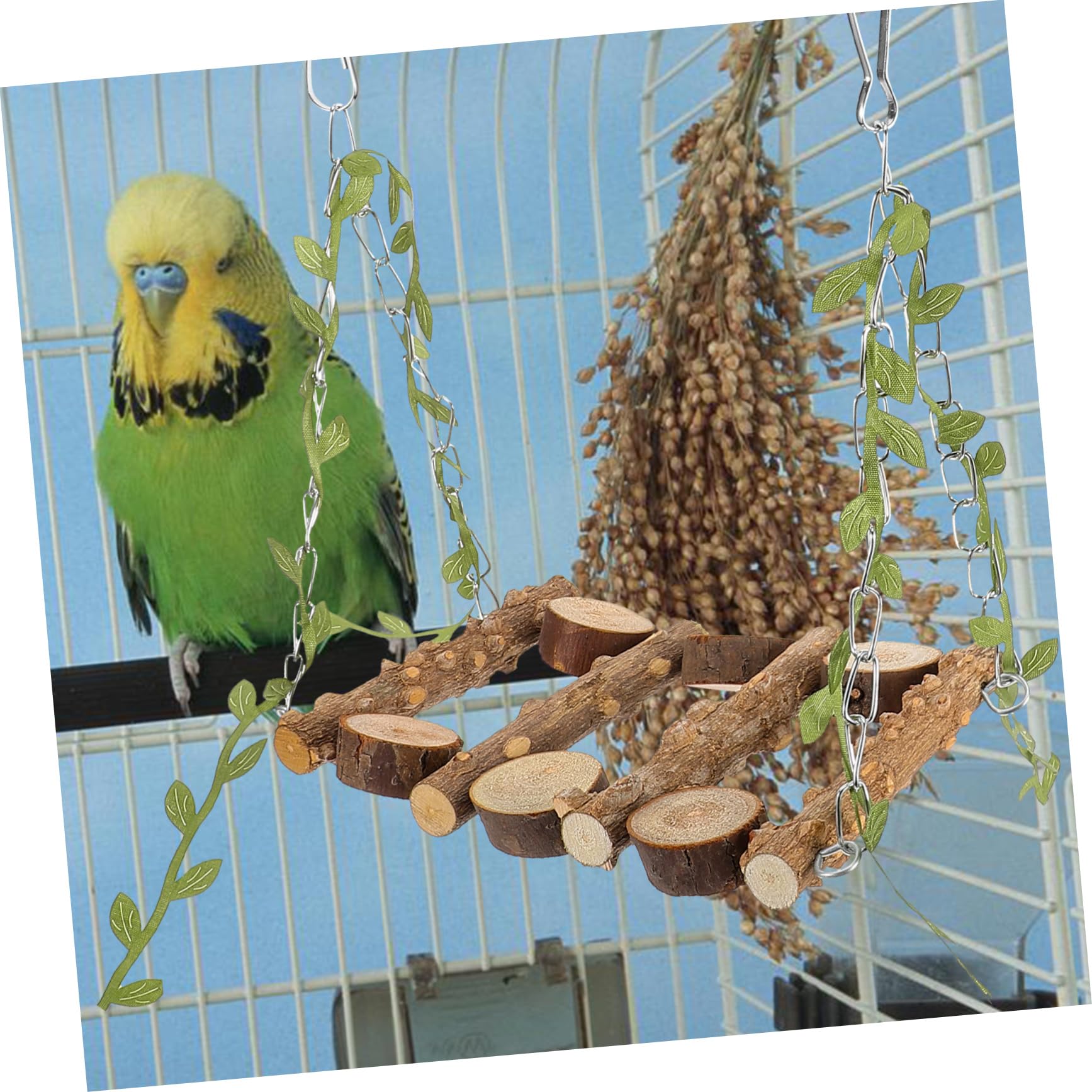 Kisangel 5stücke Parrot Swing Holzspielzeug Für Vögel Hängende Schaukel Aus Natürlichem Holz Für Wellensittiche Und Nymphensittiche Fördert Spiel Klettern Und Balance Im Vogelkäfig