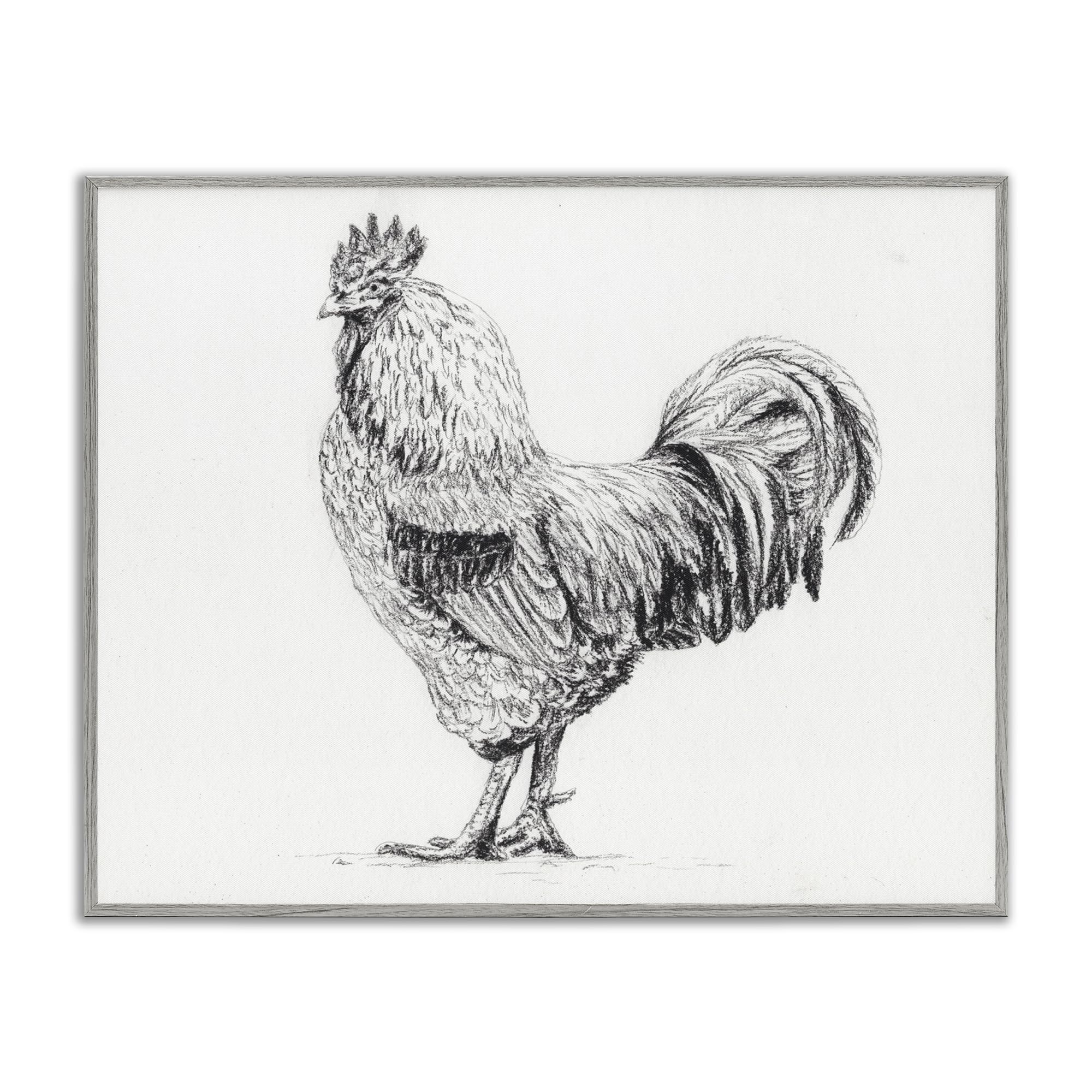 Stupell Industries 'Rooster in Charcoal', Framed Giclee Art, Gray, 14 x 11 Inches, Easy to Hang and Sturdy, Made in USA, by Leah Noel Art