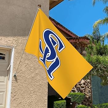 福岡ソフトバンクホークス 球団旗 Amazon.co.jp: 福岡ソフトバンクホークス 旗 野球の旗 フラッグ