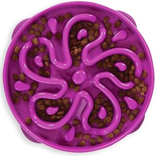Outward Hound Fun Feeder Slo-Bowl Large 4-Cup Slow Feeder Dog Bowl for Medium Large Dogs Non-Slip Purple Flower