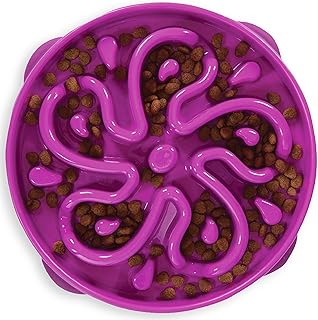 Outward Hound Fun Feeder Slo Bowl, Slow Feeder Dog Bowl, Large/Regular, Purple