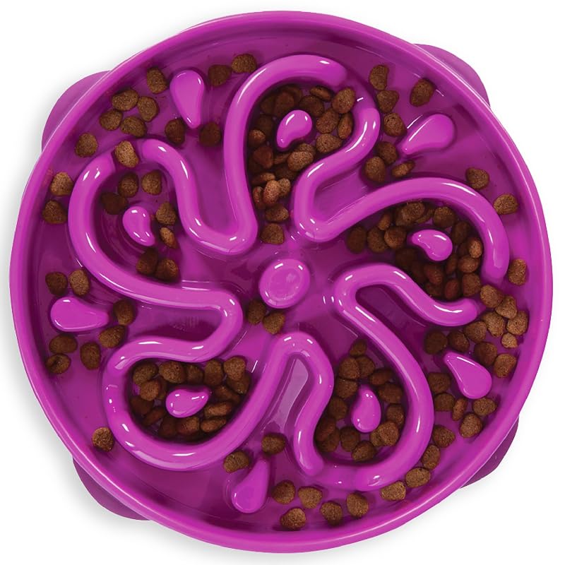 Comedouro Lento para Cães Outward Hound Fun Feeder Slo Bowl, Grande, 4 Xícaras, Antiderrapante, Roxo
