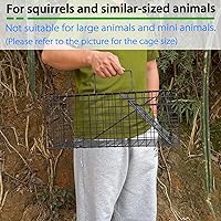 Vista 2 de Trampa de ardilla viva resistente para animales humanos (no requiere montaje)