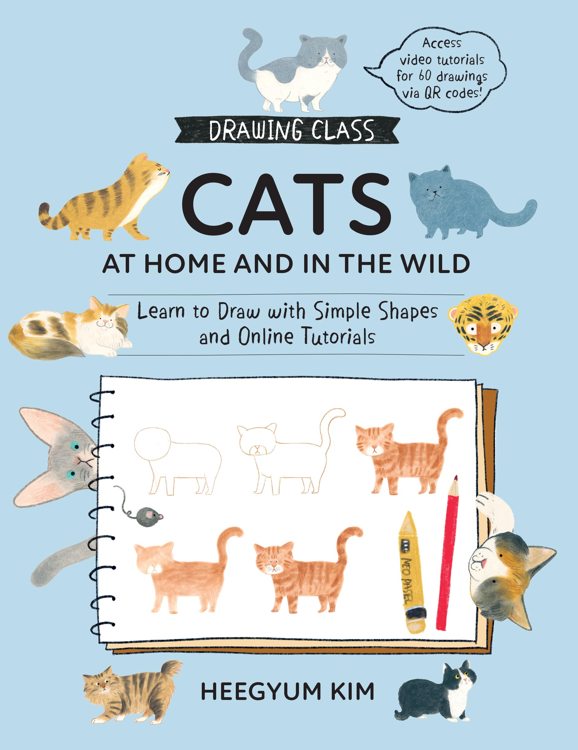 Drawing Class Cats at Home and in the Wild by Heegyum Kim PAPERBACK