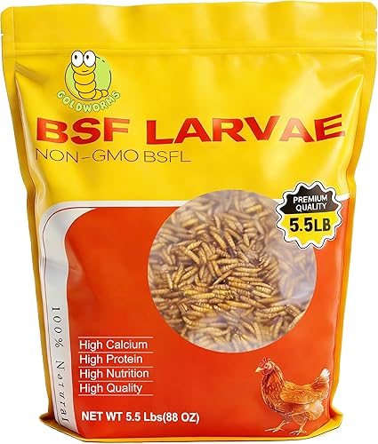 Larvas de mosca soldado negro de 5.5 libras superiores a gusanos secos – larvas BSF 85 veces más calcio que gusanos de comida para pollos – Black