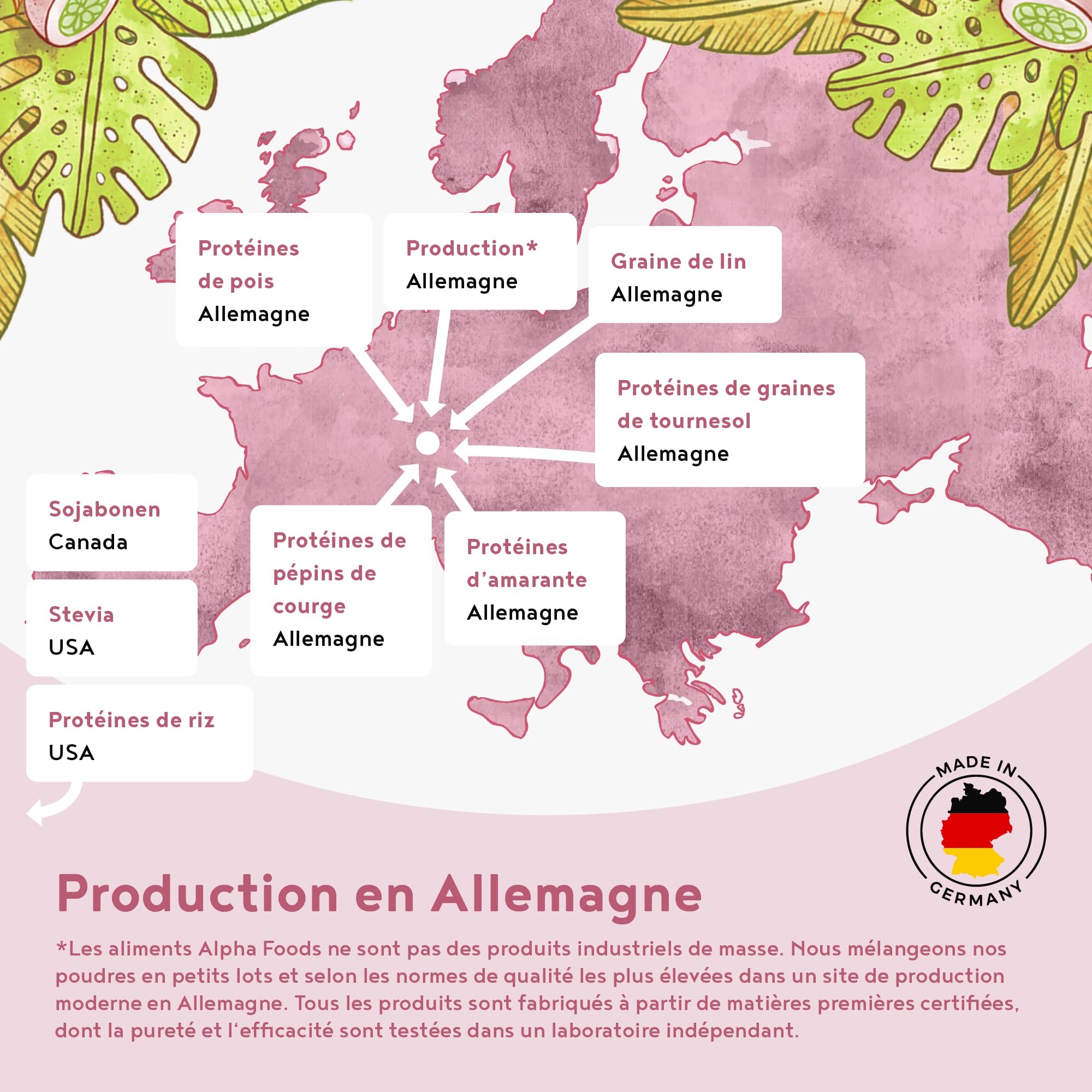 Vegan Protein Shake YOGHURT FRAMBOISE - Protéine végétale de riz germé, pois, graines de lin, amarante, tournesol, pépins de courge - poudre pour un boisson protéinée faible en calorie & glucide
