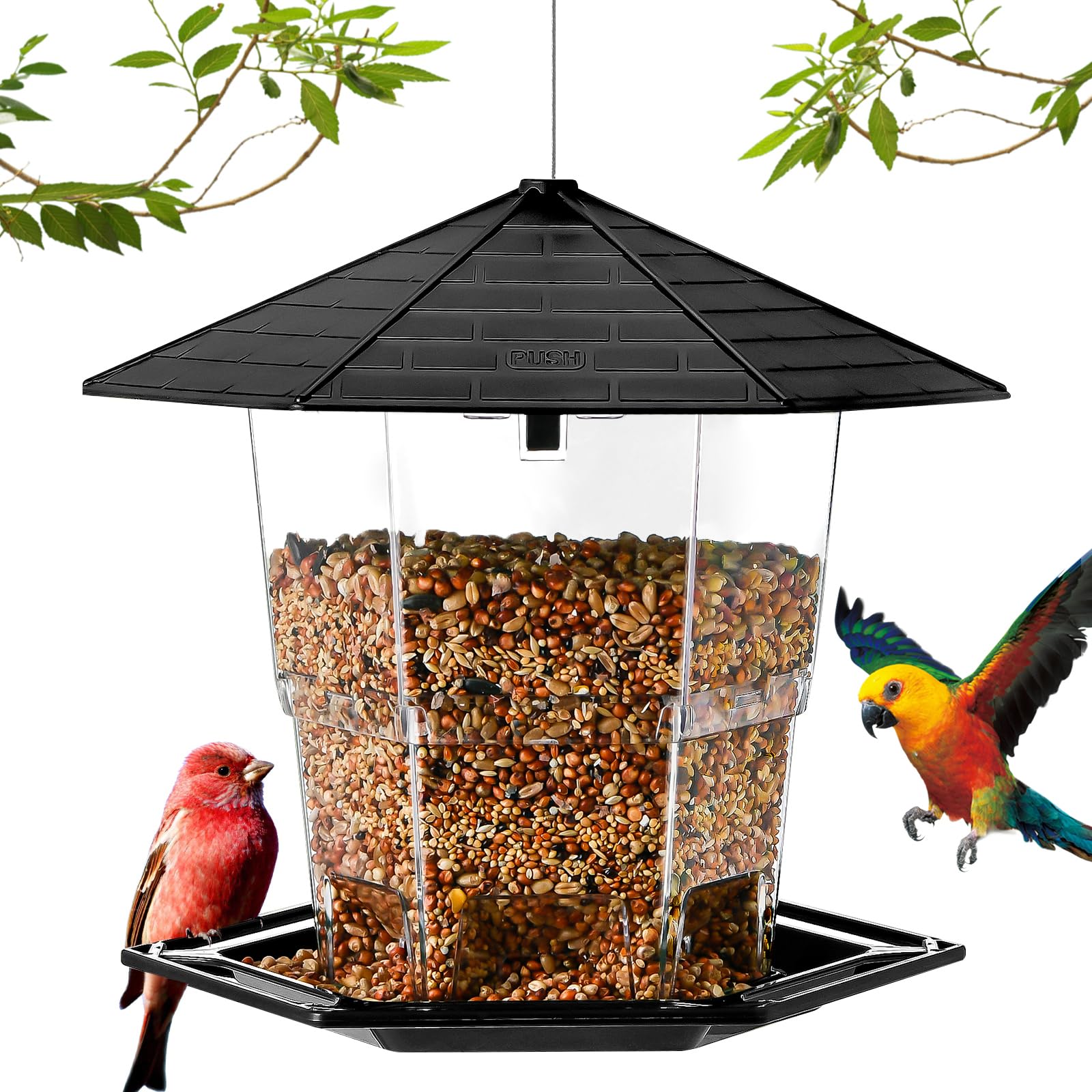 10 Best Spinning Bird Feeders for Your Garden Hummingbirds Plus