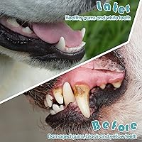 Vista 4 de Gerrii Cepillo de dientes para perros, 200 unidades, cepillo de dientes de doble cabeza, mango largo, kit de cepillado de dientes de perro, cerdas