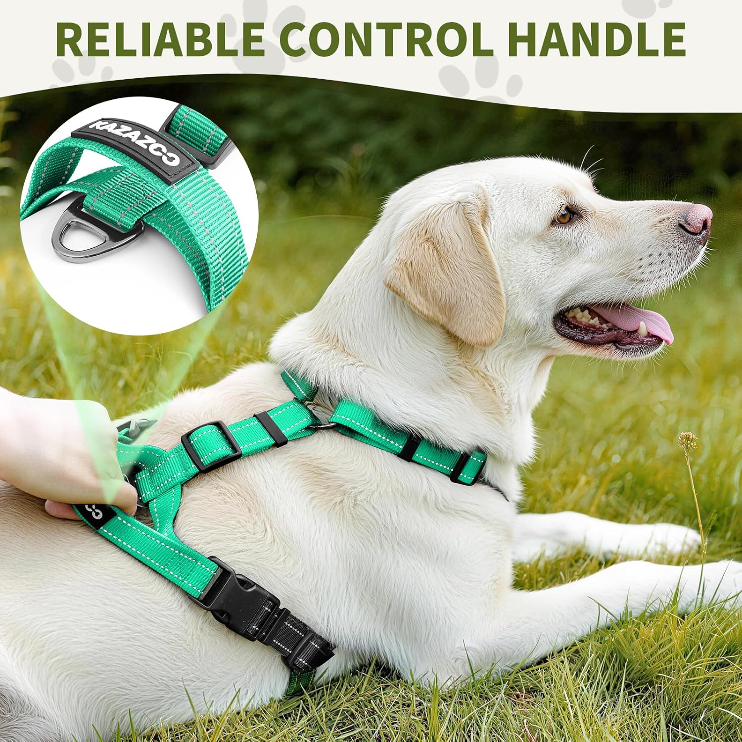 Dog Harness,Adjustable No Pull Dog Harness,Y-Shaped Design,Buckle-Neck Balance Harness with Reflective, Ideal for Dog Training Hiking, Easy Walk Harness,Durable High-Tensile Nylon Aqua Green-M