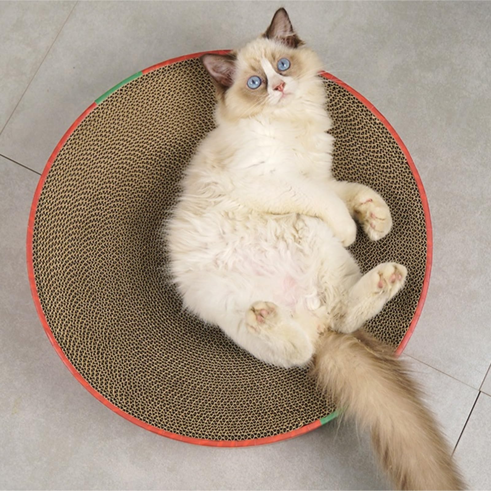 Kratzbaum aus Karton, 2-in-1-Kratzbaum für Katzen, ovale Kratzschüssel für den Innenbereich, C2-in-1-Kratzbaum für Katzen, ovale Kratzschüssel für die Innenkatze, rundes Kratzbrett für Katze
