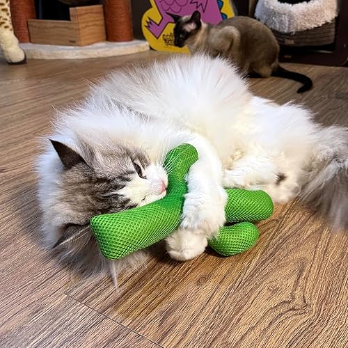 Miniatura 6 de TTcat Almohada Matatabi de hierba gatera Silvervine para gatos y gatitos, juguete grande de cactus para gatos, juguete masticable para gatos de