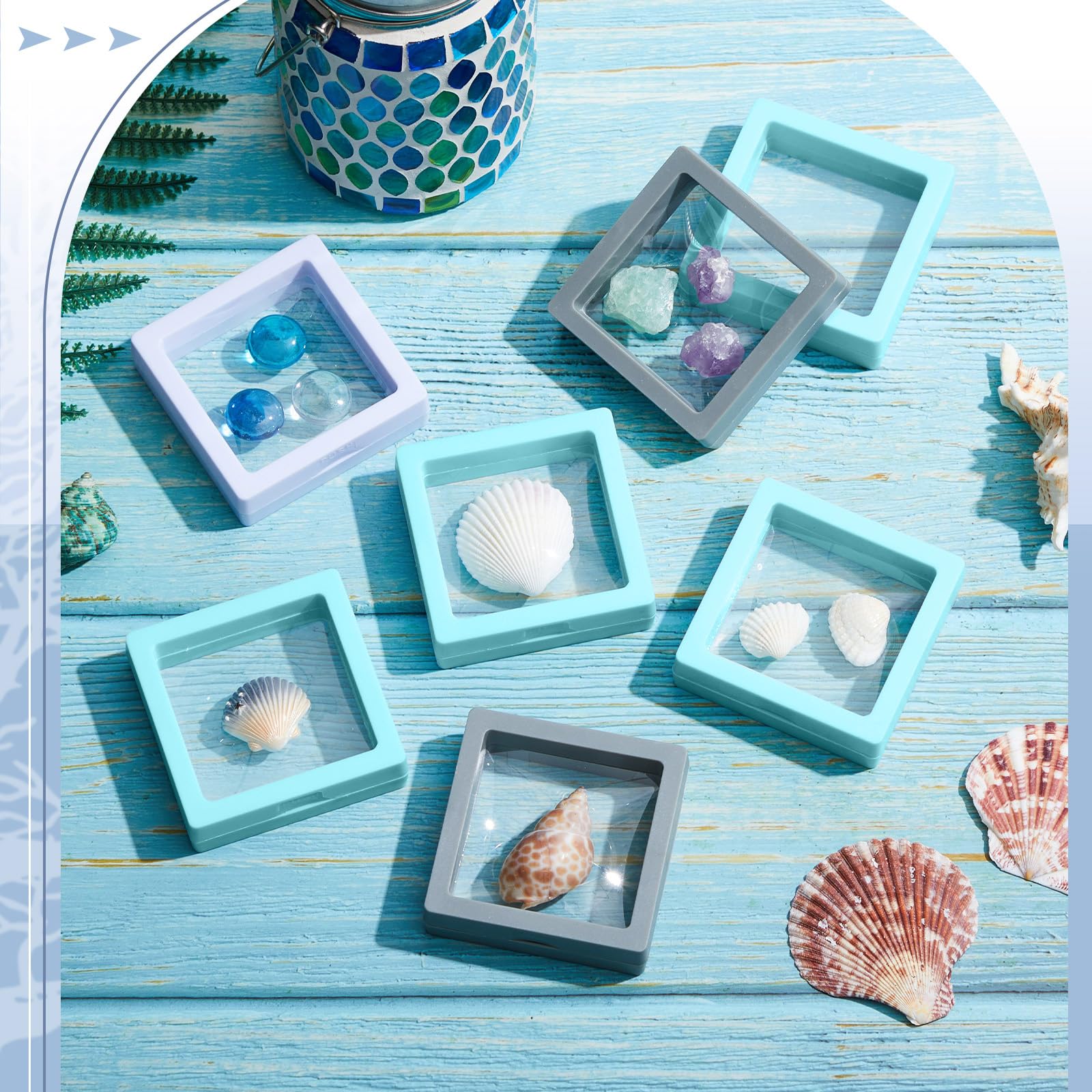 NBEADS Seashell displaybox, schelpvormige houten schelp vitrine met doorzichtig venster schaduwdoos met sleuf voor zeeschelpencollectie huisdecoratie, 17,8 x 3,2 x 15,5 cm