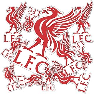 Desert Cactus Liverpool FC Sticker Decal Vinyl English Anfield Football Soccer Premier League Laptop Water Bottle Car Scrapbook (Type 3-2)