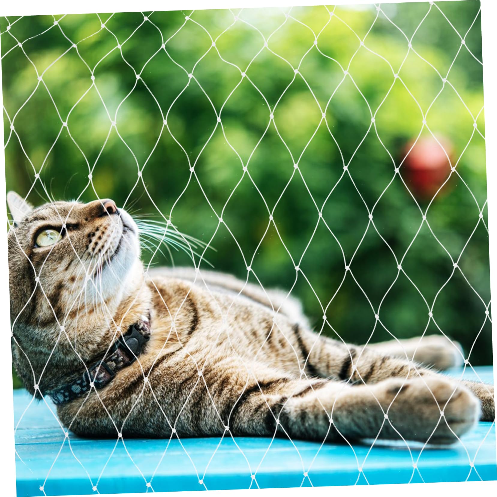 FOMIYES Nylon Katzenbalkonnetz Weiß Netz Balkon Katze ohne Bohren Reißfest Kratzfest Zuschneidbar für Balkon Treppe