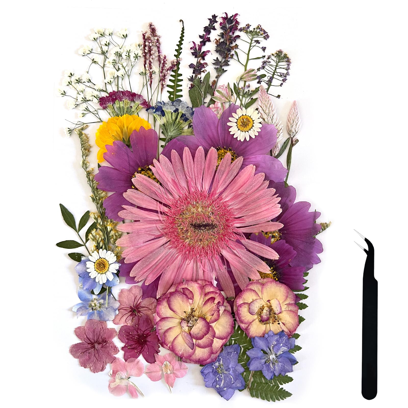 A4 Duże suszone prasowane kwiaty do żywicy, fioletowe, prasowane kwiaty, prawdziwe, suche, naturalne kwiaty, liście, do formowania ciast, świec, etui na telefon, scrapbookingu, DIY, artystyczne