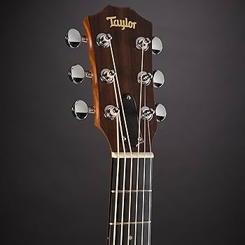 Amazon | Taylor GS Mini-e Koa エレアコギター テイラー | エレアコ