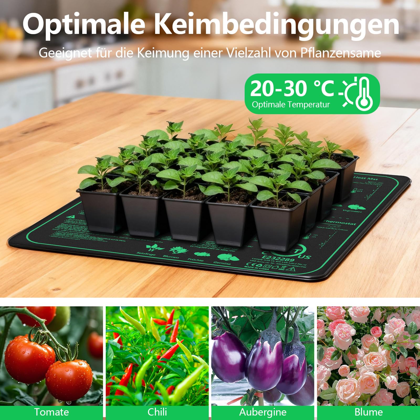 Heizmatte Pflanzen mit Thermostat, 52 x 50 cm 70W WäRmematte Pflanzen, Zimmergewächshaus Wärmematte, Temperaturregelung 20-45℃, Seedling Heat Mat für SäMling Germination Pflanzen Wachstum