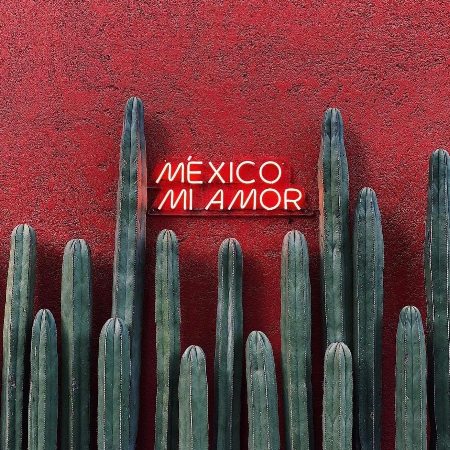 TEQUILA AMOR MIO BLANCO 700ML 40%