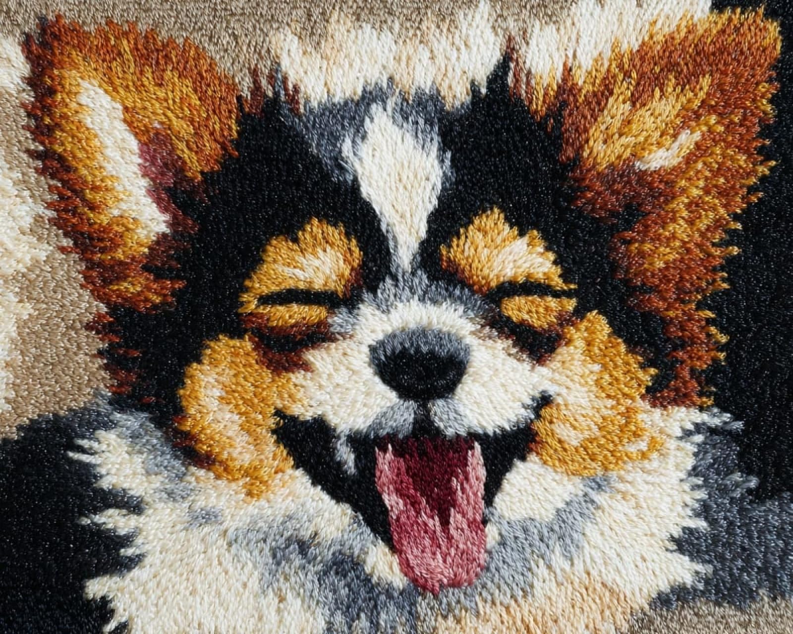 Wallphantom Rug Making Kit for Adults Beginners,Happy Chihuahua,Latch Hook Cushion Kits,Carpet Embroidery Needlework Crocheting,Tapestry for Home Decoration,80x115cm