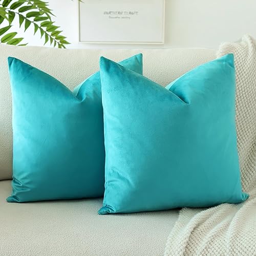 OTOSTAR Paquete de 2 fundas de almohada decorativas de terciopelo suave de 18 x 18 pulgadas, fundas de cojín cuadradas sólidas para decoración del