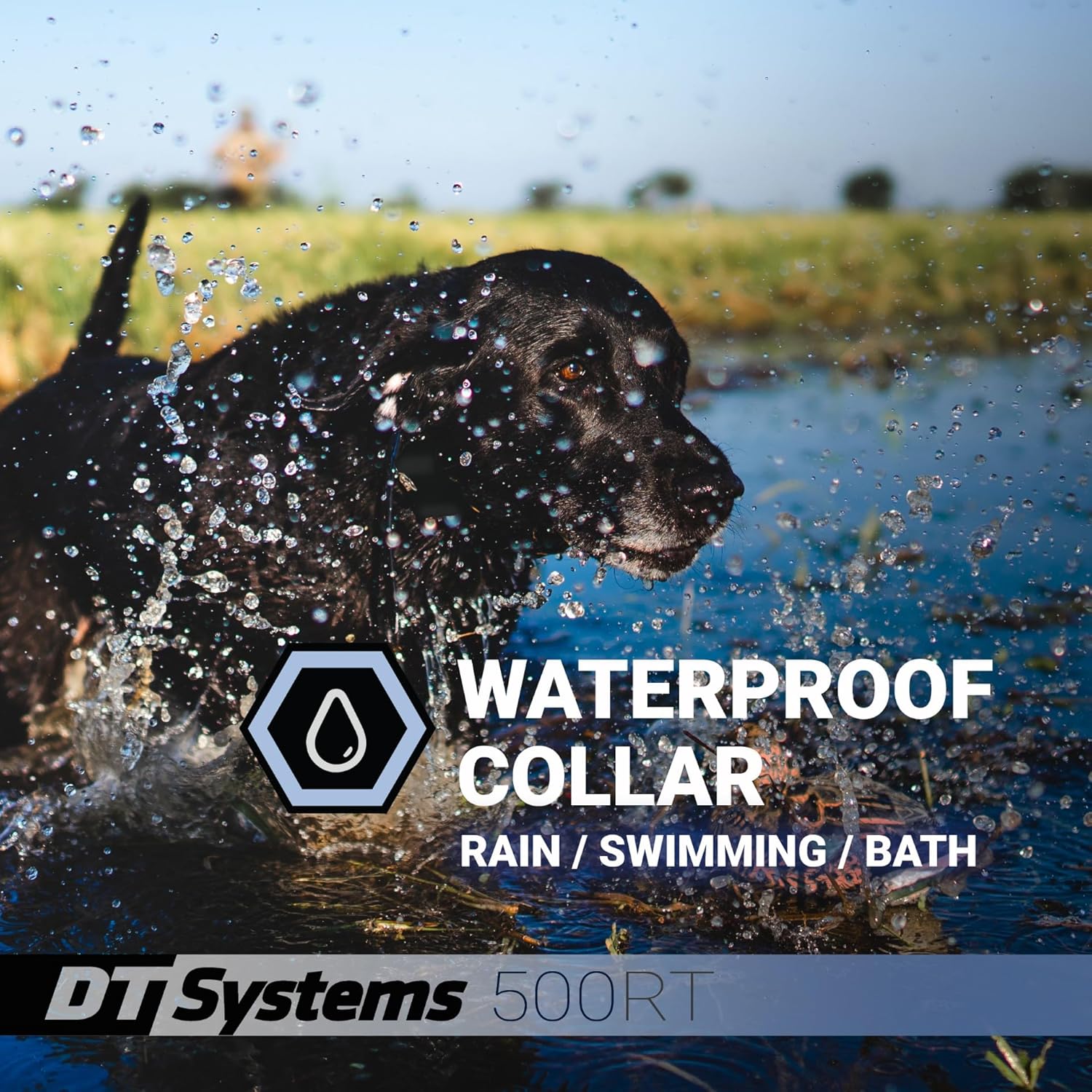 DT Systems 500RT Dog Training Collar with Remote - Waterproof Rechargeable E-Collar - 500 Yard Range - 15 Training Levels Vibration and Beep Modes for Small to Large Dogs 7 to 85 lbs - Made in Korea