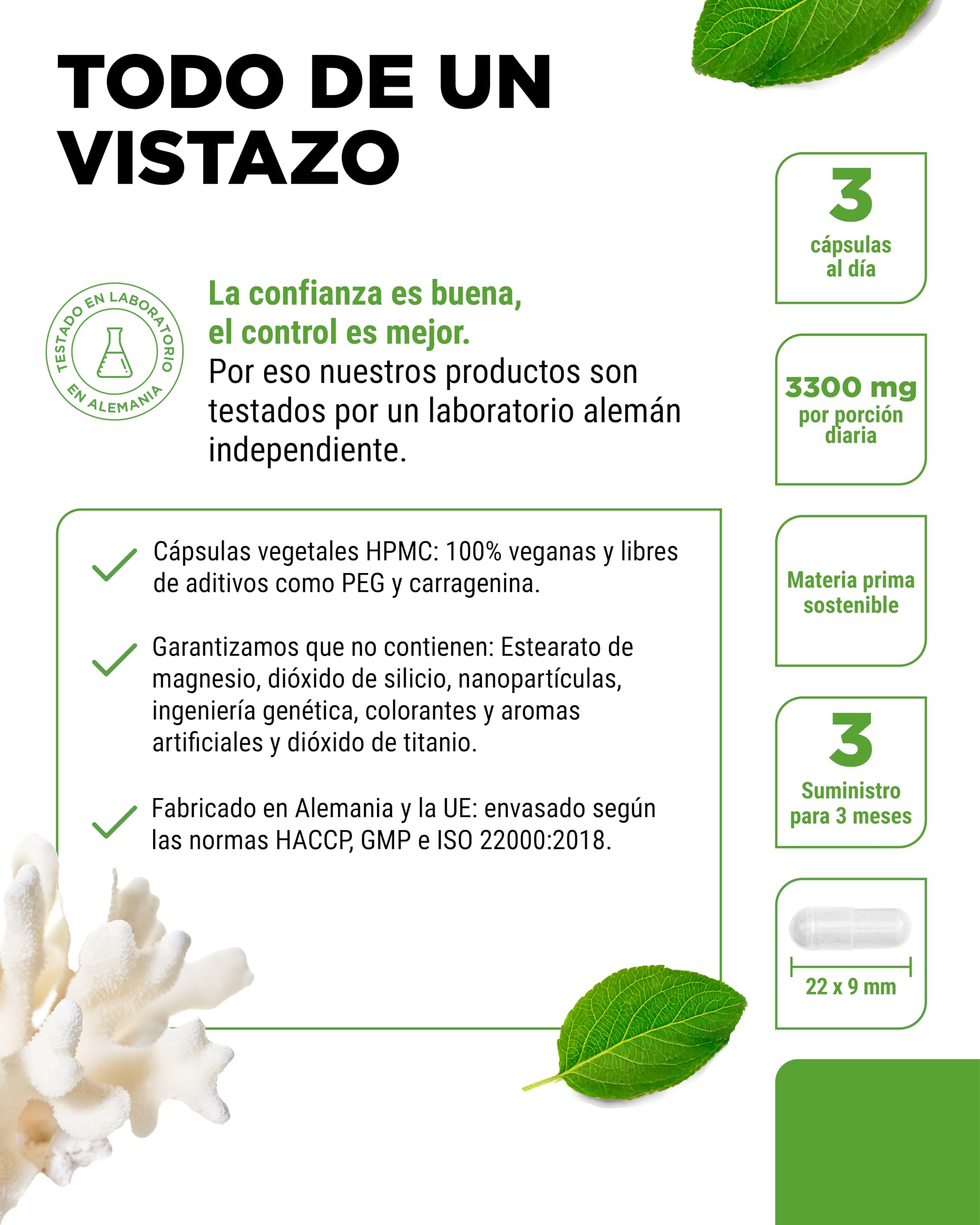 vit4ever Coral Marino Sango - 240 Cápsulas (3 Meses) - 660 mg de Calcio y 330 mg de Magnesio - Fuente natural de Calcio y Magnesio - Alta Dosificación