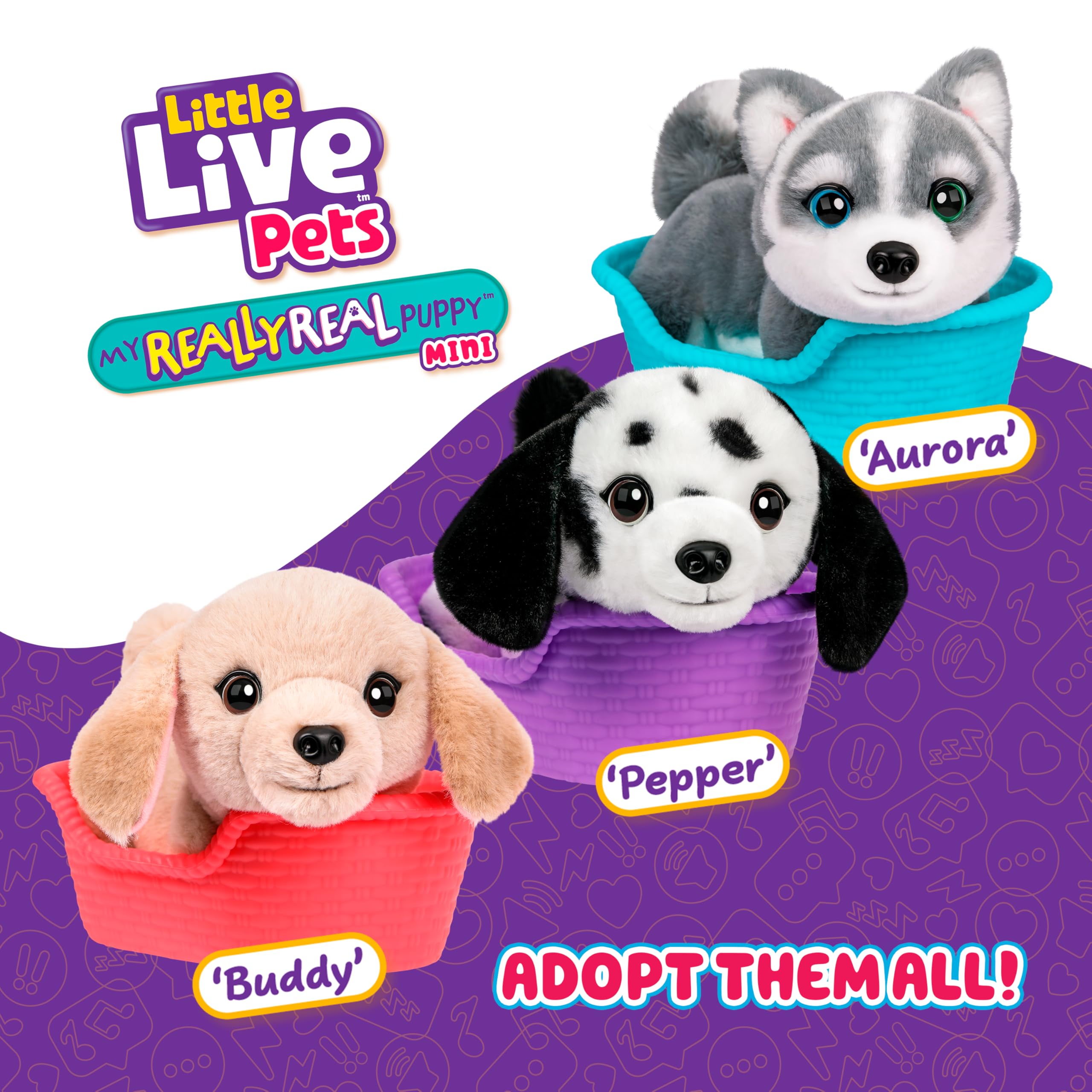 Little Live Pets My Really Real Puppy Mini Buddy The Retriever, Interactive Plush Toy with Basket, 20+ Sounds and Reactions, Puppy Toys for Kids