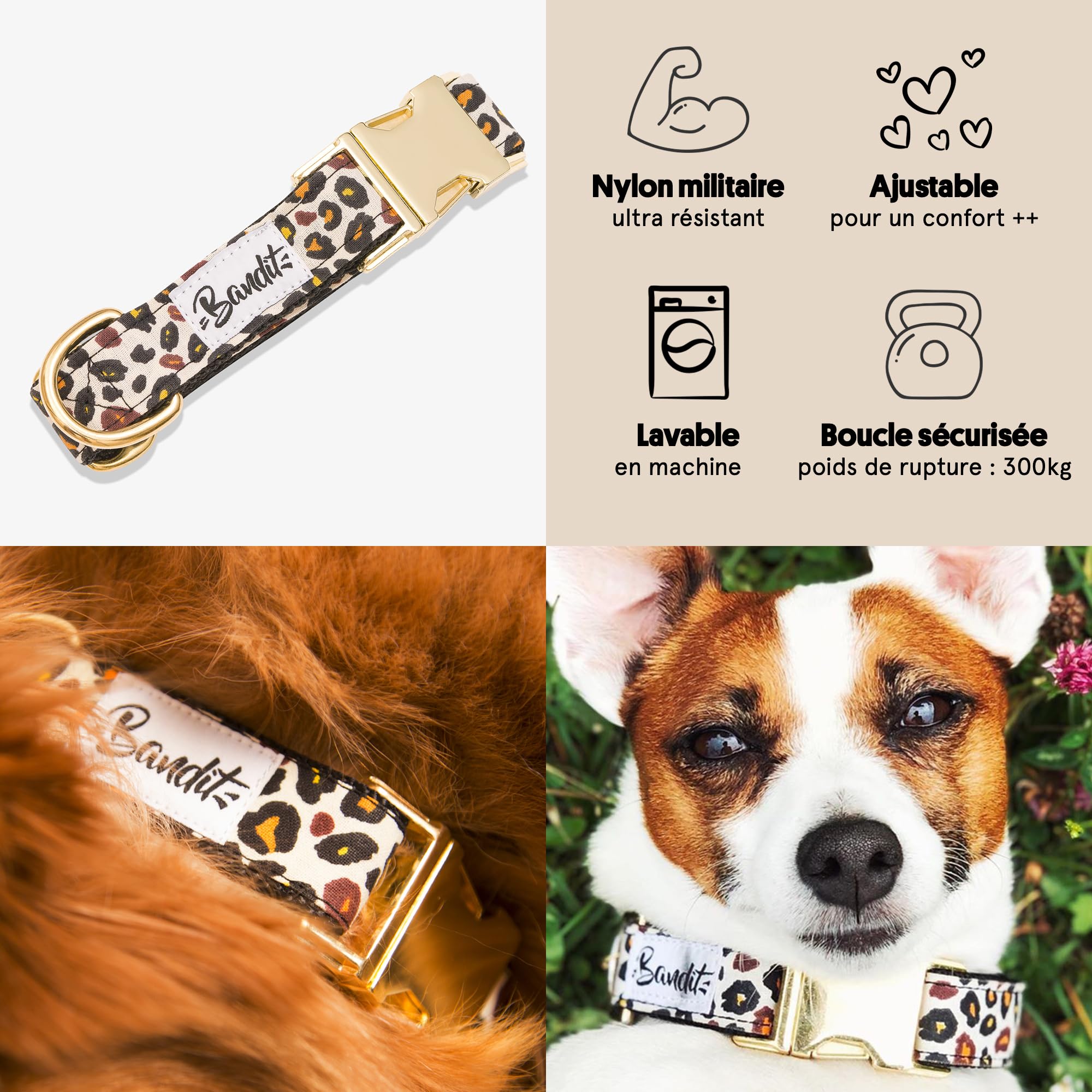 Bandit - Collier pour Chien - Taille L - Tour de Cou 40-63cm - Bouclerie en Laiton Haute Qualité - Résistance à la Rupture de 300kg - Lavable en Machine - Made in France - Wild Wild Wouf