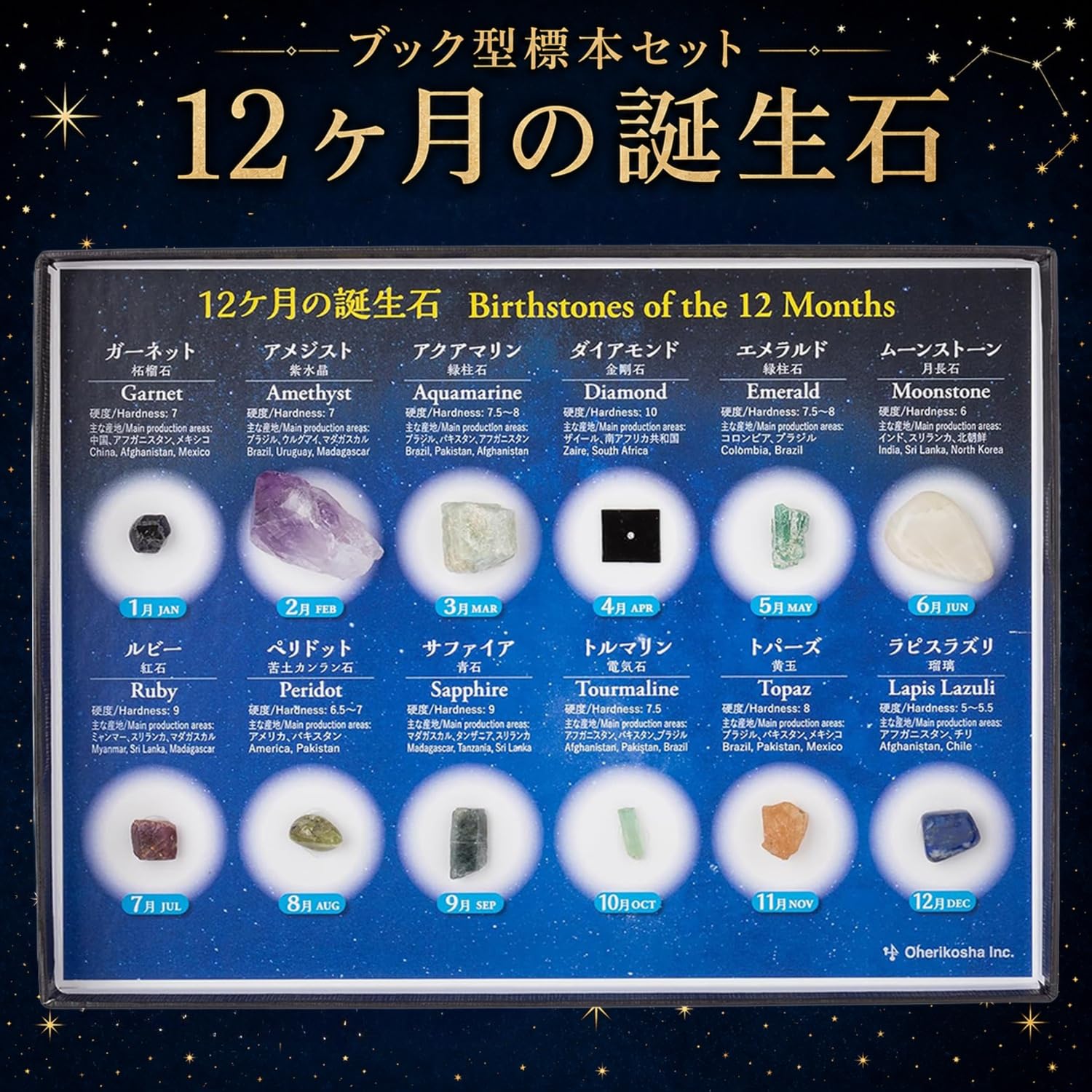 Amazon | 大江理工社(Oherikosha) ブック型標本セット 誕生石宝石