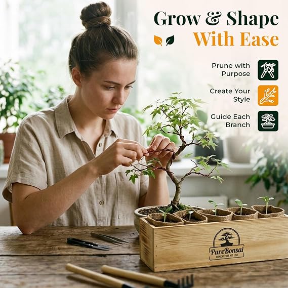 Bonsai Tree Starter Kit for Beginners Complete Indoor Growing Kit with 5 Unique Japanese Bonsai Tree Seeds Pots & Gardening Tools DIY Gift for Adults