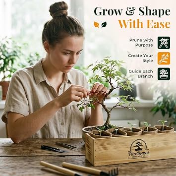 Bonsai Tree Starter Kit for Beginners Complete Indoor Growing Kit with 5 Unique Japanese Bonsai Tree Seeds Pots & Gardening Tools DIY Gift for Adults