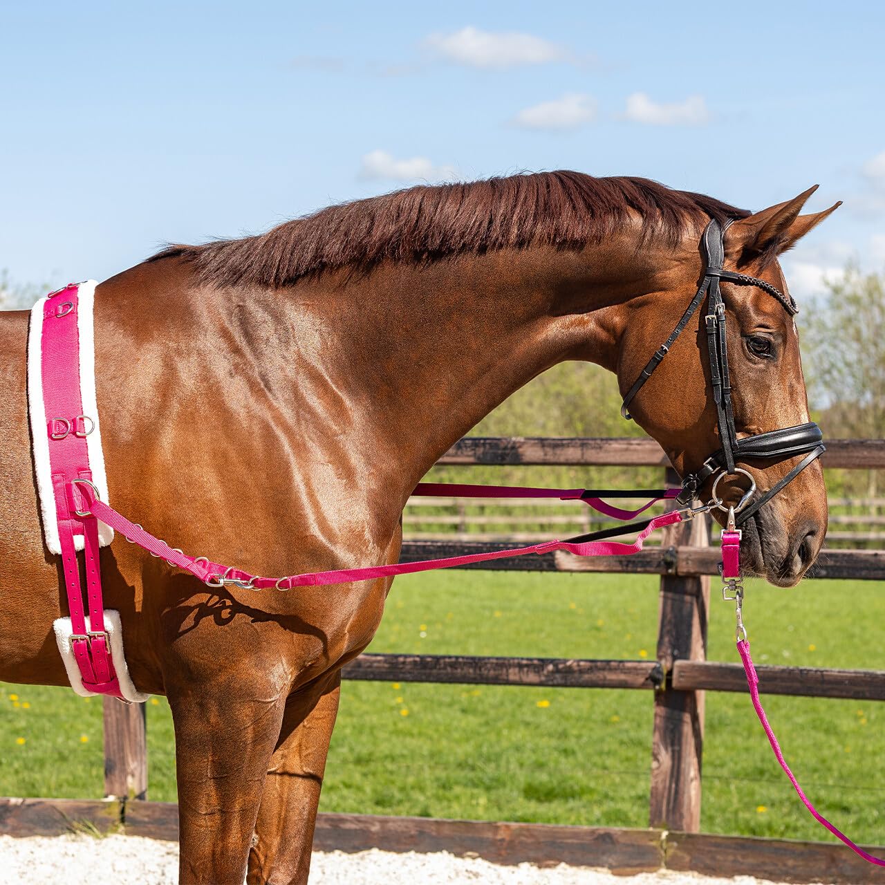 QHP Longiergurt Ontario einstellbar mit Ringen Kunstfell Fuchsia