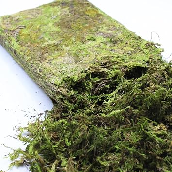 DoubleWood Natural Forest Moss for Small Pets, 5.2 oz Artificial Moss, Decorative Bedding and Nesting Material for Hamsters, Gerbils, Mice, Degus or Other Small Animal 5.2 oz